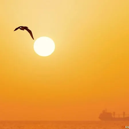 Luxury Versailles Center Opera 아파트