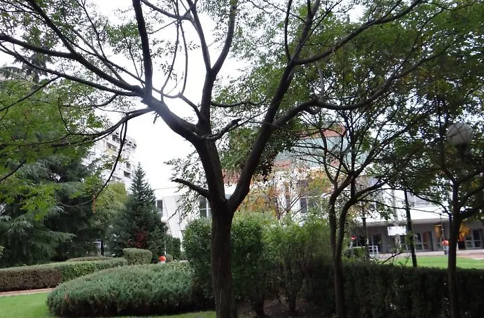 アパート Luxury Versailles Center Opera *