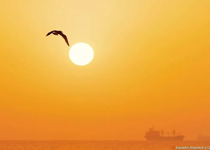 Luxury Versailles Center Opera Апартамент